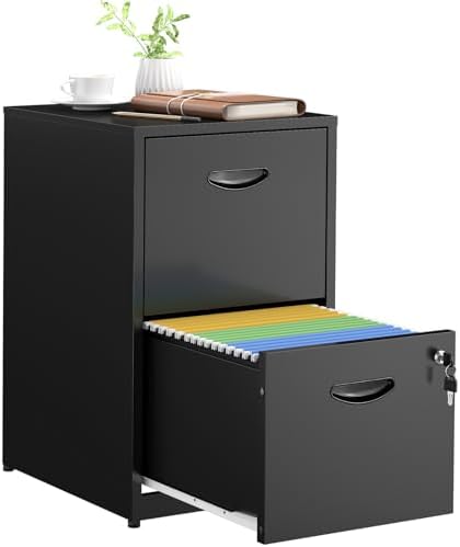 SteeLoong 2 Drawer File Cabinets,Metal Office File Cabinet with Lock,Black