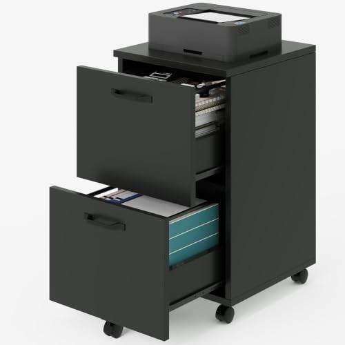 2 Drawer Rolling File Cabinet with Wood Printer Stand
