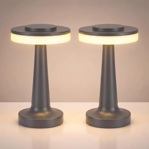 Riakrum 2 Pcs LED Cordless Table Lamp Bulk Rechargeable,Gray