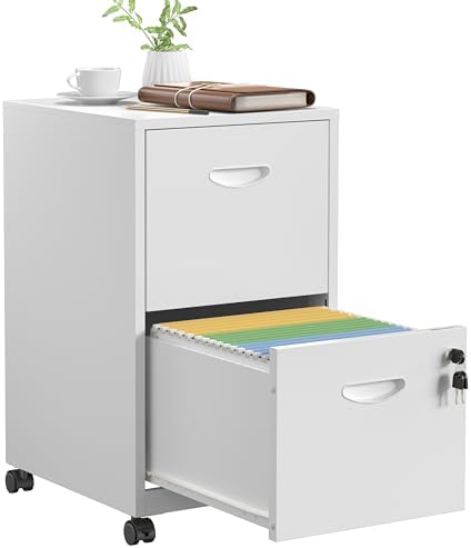 SteeLoong 2 Drawer File Cabinet,Metal Mobile File Cabinet with Lock White