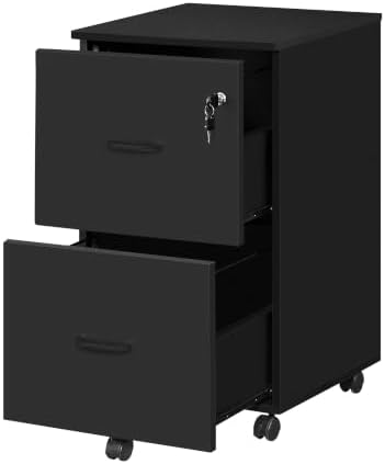 VASAGLE 2-Drawer File Cabinet, Small Rolling, Locking, Printer Stand