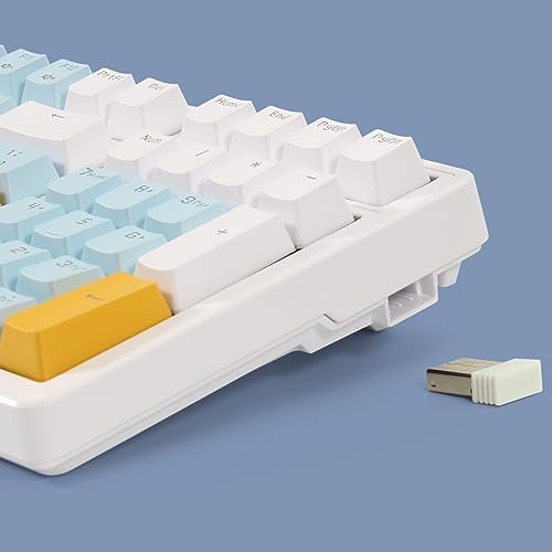 Merdia Wireless Mechanical Keyboard, Triple Mode 2.4G/USB-C/BT Gaming Keyboards 100 Keys Ice-Blue Backlit, Red Switch Keyboard | Rechargeable Mechanical Gaming Keyboards | Ice Blue/W/Y