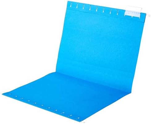 Amazon Basics Hanging File Folders with Adjustable Tabs, Sturdy Expandable Document Organizer, Letter Size, Assorted Colors, 25-Pack