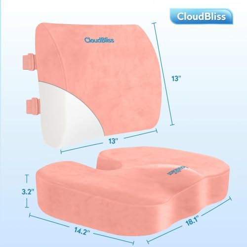 CloudBliss Ergonomic Seat Cushion & Lumbar Support Pillow Set, Pink, Large