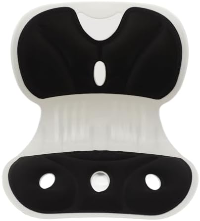 Lumbar Support Posture Corrector Chair for Adults,Back and Lumbar Support Breathable Fabric Petal Shaped Office Chair Seating Cushion,Ergonomic Back Supports Chairs for Office