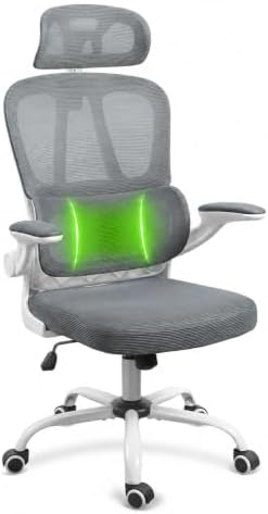 Ergonomic Mesh Office Chair, Headrest, Lumbar Support, Flip-up Arms