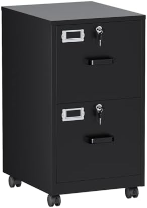 BYNSOE 2 Drawers File Cabinet with Lock Metal Vertical File Cabient with Wheels Mobile File Cabinet for Office Home Legal/Letter/a4 Size Require Assembly