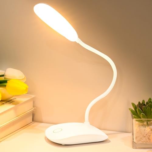 Portable Battery Powered Desk Lamp Small Rechargeable LED Table Light