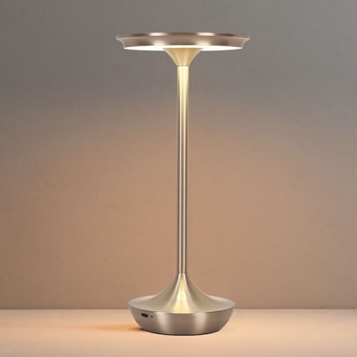 LED Cordless Table Lamp Rechargeable,Portable 6000mAh Battery Outdoor Bedside Table Lamps,3 Color Stepless Dimming Touch Battery Powered Lamp, Table Light for Restaurant/Patio/Camping/Bedroom(Silver)