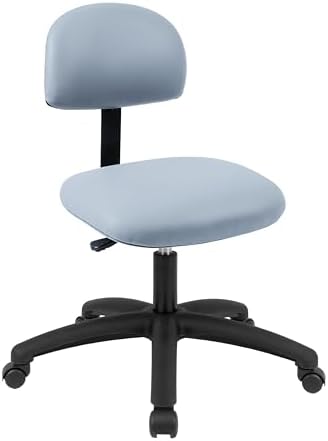 FSS Series Square seat Low (17"-22") seat Height Chair. Vinyl-for Office, Garage, Desk, Shop, Computer, Doctor, Medical, Easy to Clean! NO Footring (Gray, Low, _Standard Casters)
