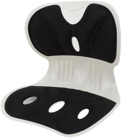 Lumbar Support Posture Corrector Chair for Adults,Back and Lumbar Support Breathable Fabric Petal Shaped Office Chair Seating Cushion,Ergonomic Back Supports Chairs for Office