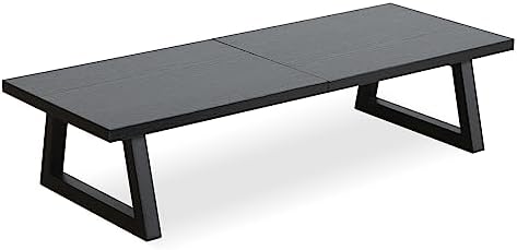 TEAMIX 24 inch Monitor Riser for Desk, Wood & Steel Computer/TV Stand Black