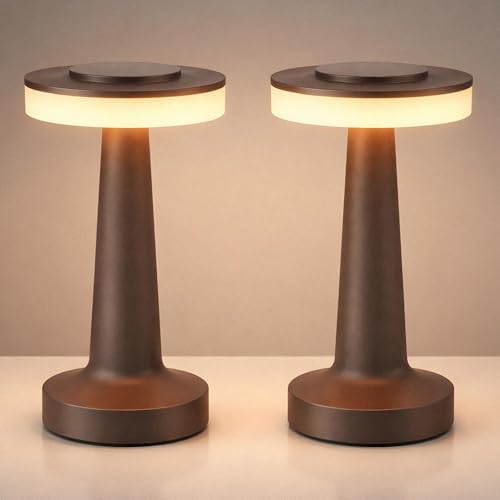 Riakrum 2 Pcs LED Cordless Table Lamp Bulk Rechargeable,Brown