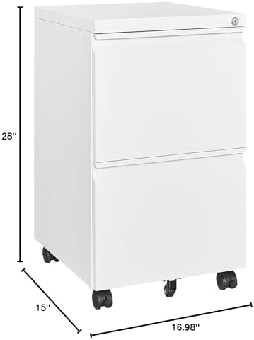 2 Drawer Mobile File Cabinet with Lock Steel Small Rolling File Cabinet Legal/Letter/A4 Size Under Desk Metal Filing Cabinet for Home Office Vertical Filing Cabinet Printer Stand Fully Assembled