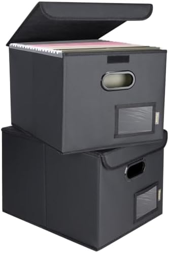 BALEINE File Organizer Box with Lid, Collapsible Hanging File Storage Box