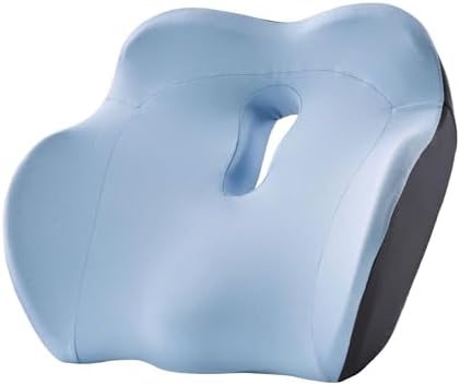 OneCushion Advanced Ergonomic Seat Cushion for Office Chair with Firm AlignCore Foam for All-Day Comfort, Posture Support & Pressure Relief for Work or Home Use - Sky Blue