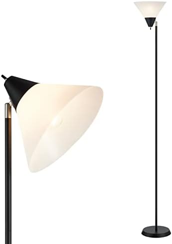 HonoDing Floor Lamp Standing Lamp Adjustable Head Arcylic Shade Floor Lamps for Living Room/Office/Bedroom (Black)