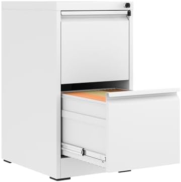 2 Drawer File Cabinet with Lock,Metal File Cabinet for Home Office