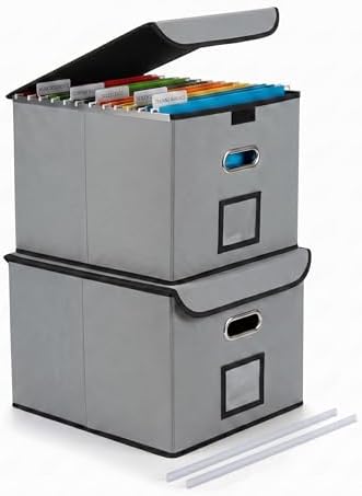 CADONO File Organizer Box with Lid (Grey, 14.9 x 12.59 x 10.8 inch, 2-Pack)