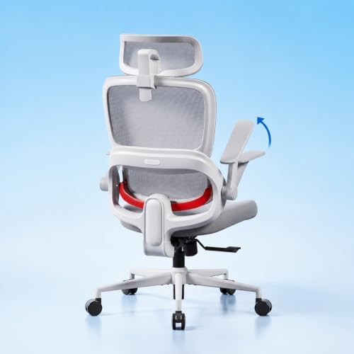 SIHOO B100 SE Ergonomic Mesh Office Chair, Desk Chair with Lumbar Support