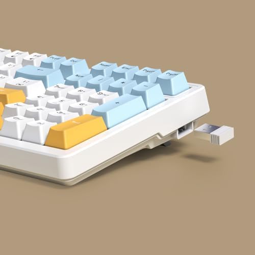 Merdia Wireless Mechanical Keyboard, Triple Mode 2.4G/USB-C/BT Gaming Keyboards 100 Keys Ice-Blue Backlit Brown Switch Keyboard | Rechargeable Mechanical Gaming Keyboards | Ice Blue/W/Y