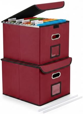 File Organizer Box with Lid (Wine Red, 14.9 x 12.59 x 10.8 inch, 2-Pack)