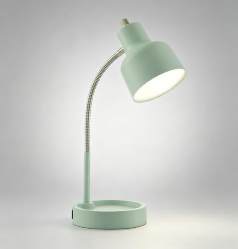 17 Inch Adjustable Flexible LED Desk Lamp with Catch-All Base & AC Outlet, Task Lamp,Green