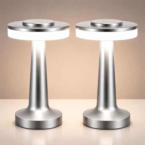 Riakrum 2 Pcs LED Cordless Table Lamp Bulk Rechargeable,Silver