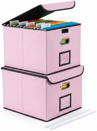 CADONO File Organizer Box with Lid (Pink, 14.9 x 12.59 x 10.8 inch, 2-Pack)