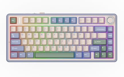 EPOMAKER x Aula F75 Gasket Mechanical Keyboard, 75% Wireless Hot Swappable Gaming Keyboard with Five-Layer Padding&Knob, BT/2.4GHz/USB-C, RGB (Green, LEOBOG Reaper Switch)