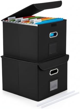 File Organizer Box with Lid (Black, 14.9 x 12.59 x 10.8 inch, 2-Pack)