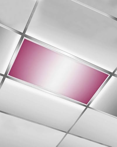 Rose Red Magnetic Fluorescent Light Covers for Ceiling Lights 2 x 4 Feet,White Gradient Minimalist Geometric Aesthetics Office Classroom Kitchen Drop Ceiling Light Covers Lighting Filters Shade 1 Pack