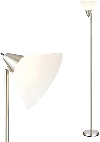 HonoDing Floor Lamp Standing Lamp Adjustable Head Arcylic Shade Floor Lamps for Living Room/Office/Bedroom (Satin Nickel)