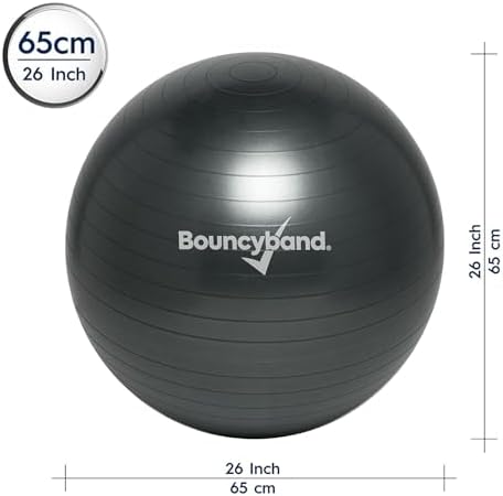 Bouncyband Balance Ball – Create Flexible Seating to Improve Focus at School, Office, or Home with This No-Roll Weighted Ball