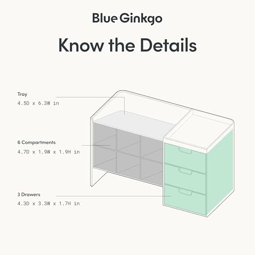 Blue Ginkgo Stackable Desk & Pen Organizer, Blue, Made in Korea