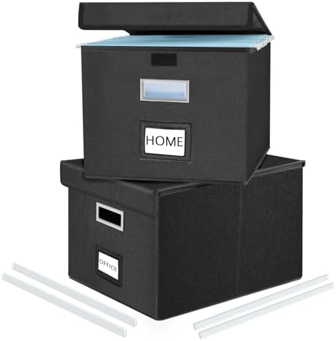 File Organizer Box with Lids, Collapsible File Folder Organizer