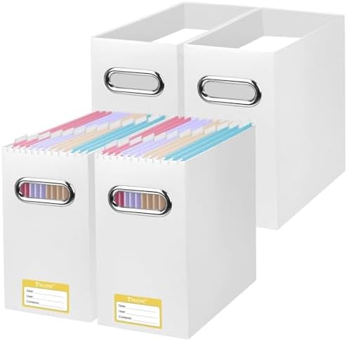 BALEINE 4PK File Organizer Box, Cardboard File Folder Organizer with Handle