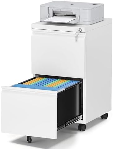 2 Drawer File Cabinet with Lock, Small Rolling Filing Cabinet for Home Office, Printer Stand, 2 Drawer Under Desk Filing Cabinet with Wheels for Legal/Letter/A4 (Fully Assembled,White)
