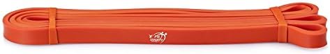 Fit Simplify Pull Up Assist Resistance Bands for Fitness, Physical Therapy, Stretching, Mobility and Exercise