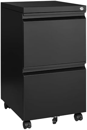 2 Drawer File Cabinet On Wheels Mobile Cabinet with Lock Under Desk Metal Filing Cabinet On Rollers Small Rolling File Cabinet Black Printer Stand for Home Office Fully Assembled
