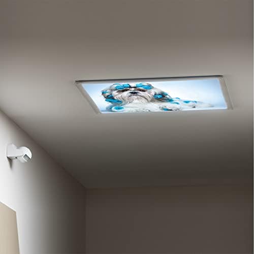 Fluorescent Light Cover Decorative Ceiling Light Filters,Dog Lover Pattern,for Classroom Office Hospitals Home Ceiling Decorative,2ft x 4ft,Blue Pale Blue White