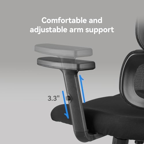 SIHOO M56 Ergonomic Office Chair, Dual Backrest, Adaptive Lumbar Support