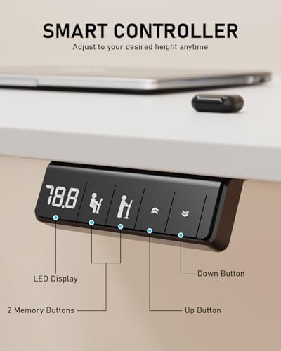 48" Large Electric Standing Desk Adjustable Height for Home Office
