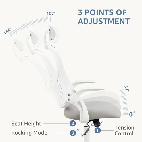 DUMOS Ergonomic Office Chair, Computer Desk Chair, Lumbar Support