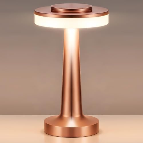 Riakrum 1 Pcs LED Cordless Table Lamp Bulk Rechargeable,Rose Gold
