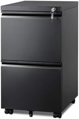 DEVAISE 2 Drawer Mobile File Cabinet, Fully Assembled