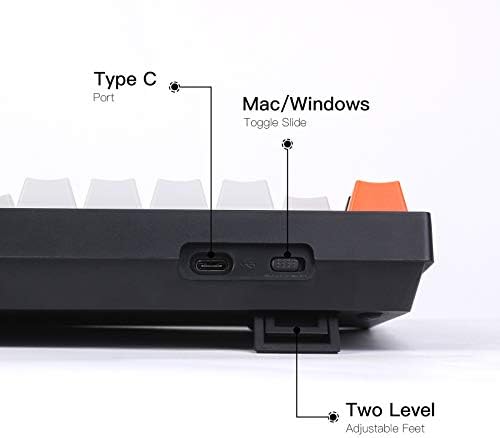 Keychron C2 Full Size Wired Mechanical Keyboard for Mac, Hot-swappable