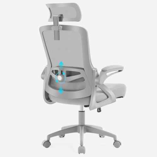 Fizzin Gray Office Chair, Mesh Desk Chair with Adjustable Lumbar Support