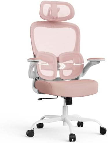 Ergonomic Office Desk Chair, Adjustable Dual Lumbar Support & Thick Seat