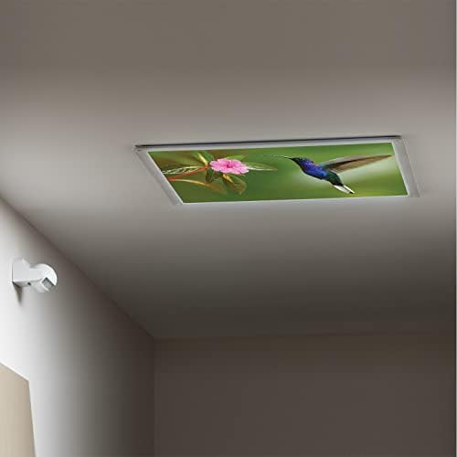 Fluorescent Light Cover Decorative Ceiling Light Filters,Hummingbird Pattern,for Classroom Office Hospitals Home Ceiling Decorative,2ft x 4ft,Olive Green Multicolor
